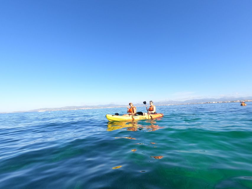 Mallorca: Kayak Rental - Price and value: is $23 per person worth it?