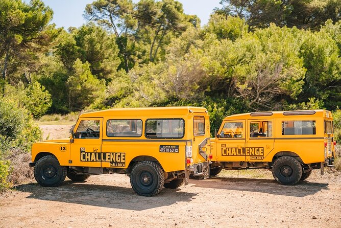 Mallorca: Kayaking, Sea Cave, Cliff Jumping & Snorkel Tour - Getting picked up near Alcúdia and jumping into the day fast