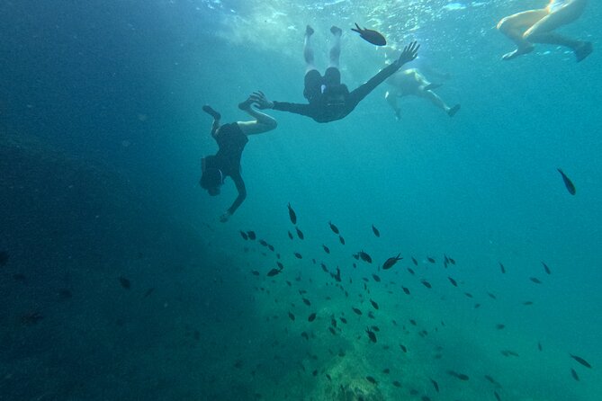 Mallorca: Kayaking, Sea Cave, Cliff Jumping & Snorkel Tour - Cliff jumping: optional adrenaline with safety coaching