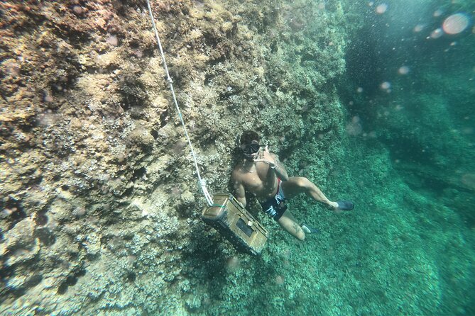 Mallorca: Kayaking, Sea Cave, Cliff Jumping & Snorkel Tour - Kayaking the coast to reach the cave: where the scenery does the work