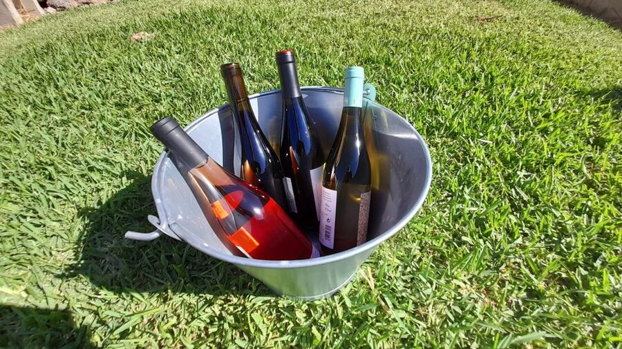 Mallorca: Local Wines & Foods Tasting - Buying local: what you can take home