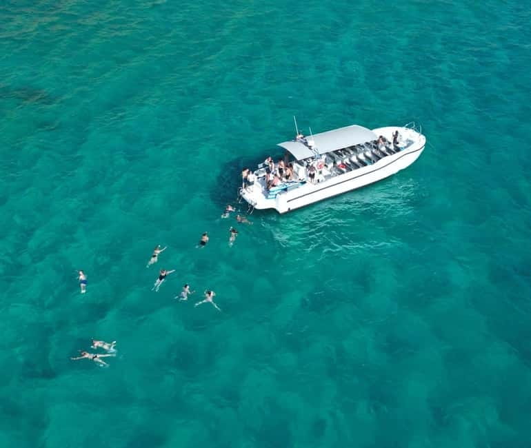 Mallorca Marine reserve: Visit caves, cliffs and snorkeling - Speedboat around the marine reserve: fast travel, big views