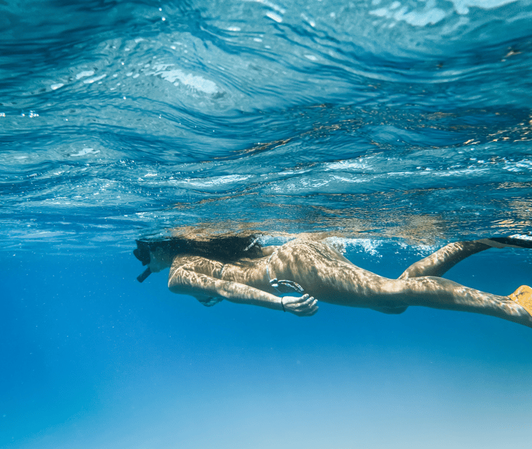 Mallorca Marine reserve: Visit caves, cliffs and snorkeling - What’s included: snorkeling kit and paddle surf (plus insurance)