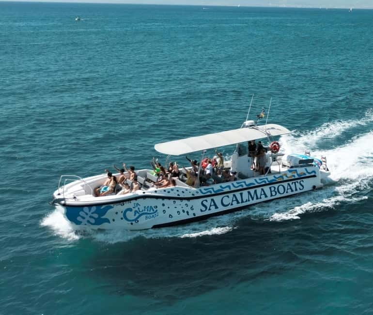 Mallorca Marine reserve: Visit caves, cliffs and snorkeling - Sa Calma Boats meeting point and the timing that actually matters