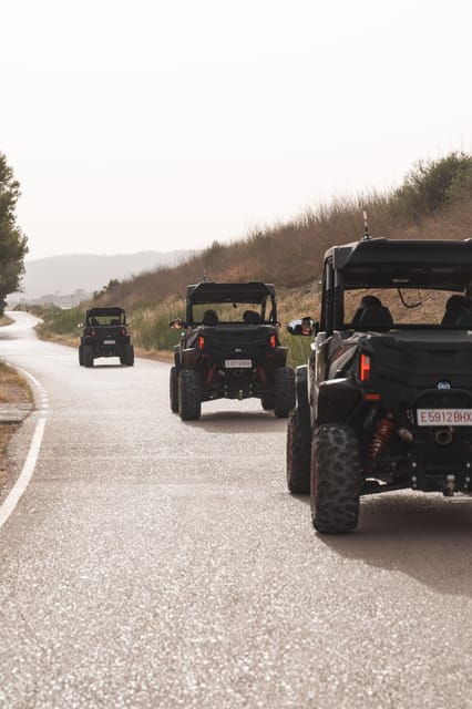 Mallorca: Mountain Buggy Adventure with Secret Coves Tour - Practical Tips That Make the Day Smoother