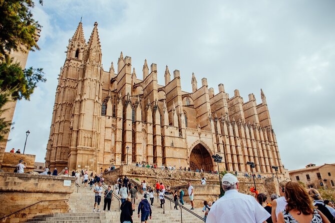 Mallorca Old Town Walking Tour with Cathedral Skip The Line Tour - Plaza de Cort and Palma’s civic face: Ayuntamiento, clock, and that olive tree