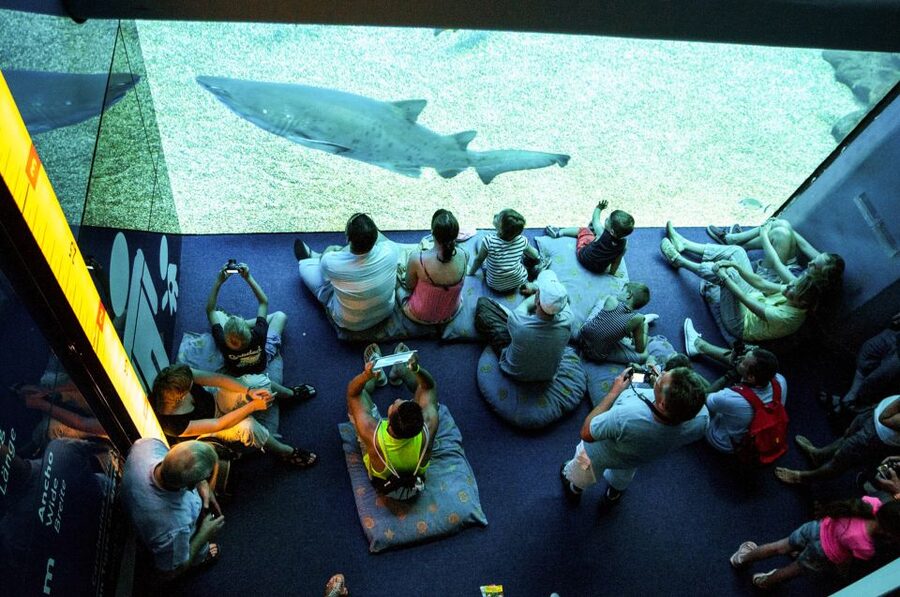 Mallorca: Palma Aquarium Entry Ticket w/ Optional 3D Cinema - Family-friendly add-ons: play areas, water features, and keeping kids engaged