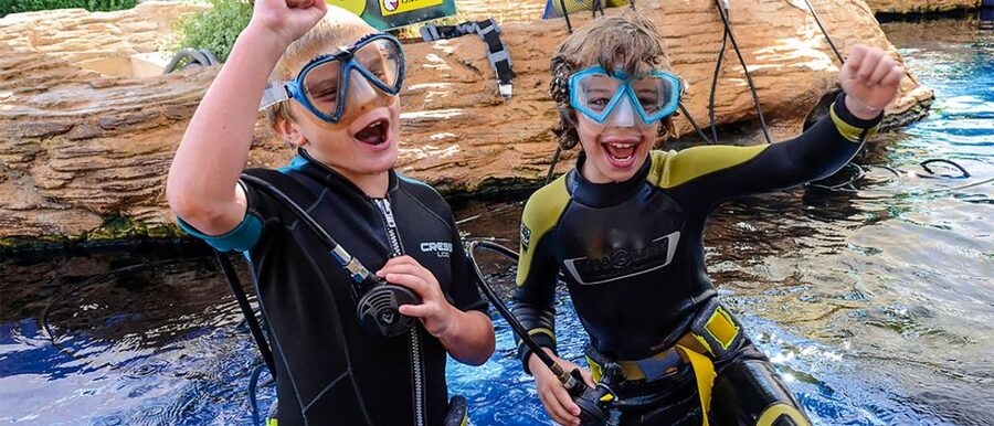 Mallorca: Palma Aquarium Entry Ticket w/ Optional 3D Cinema - Palma Aquarium in plain terms: what $36 gets you
