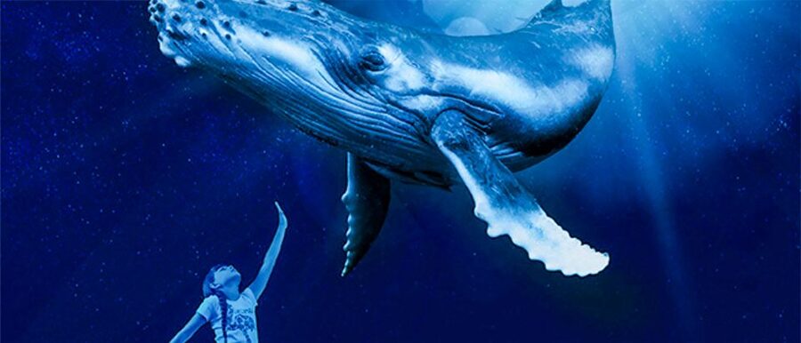 Mallorca: Palma Aquarium Entry Ticket w/ Optional 3D Cinema - The route you’ll actually follow: 8 themed habitats and an over-1-km walk