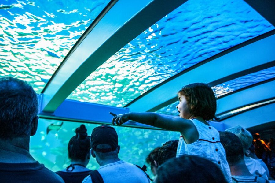 Mallorca: Palma Aquarium Entry Ticket w/ Optional 3D Cinema - Jungle vibes and that waterfall feeling