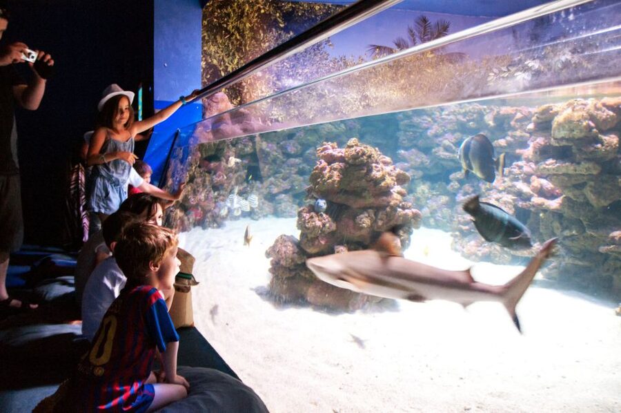 Mallorca: Palma Aquarium with Transfers, Guide & Fast Entry - Key highlights that make this tour worth a look