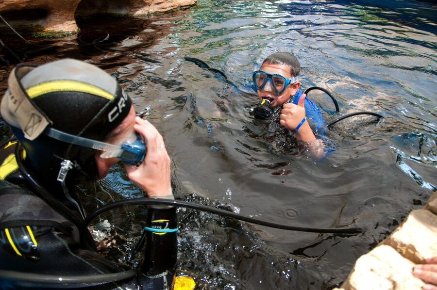 Mallorca: Palma Aquarium with Transfers, Guide & Fast Entry - Price and value: is $57 a smart buy?