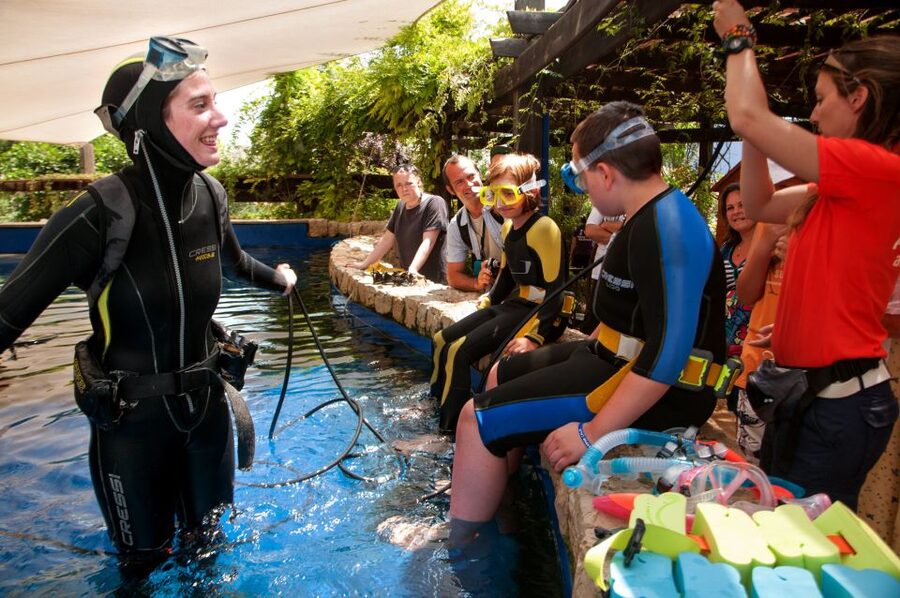 Mallorca: Palma Aquarium with Transfers, Guide & Fast Entry - Alcúdia to Palma: how the pickup really sets the tone