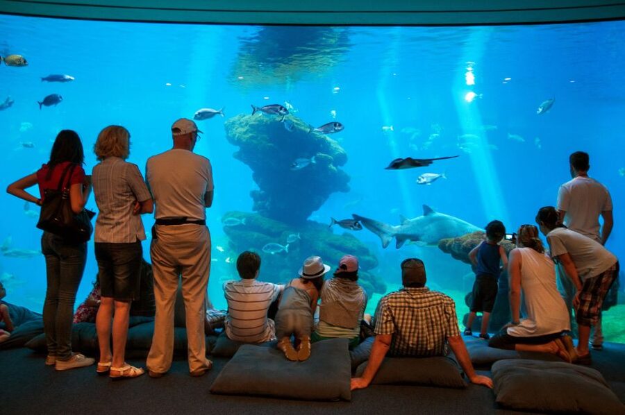 Mallorca: Palma Aquarium with Transfers, Guide & Fast Entry - Inside Palma Aquarium: the zones to map before you even enter