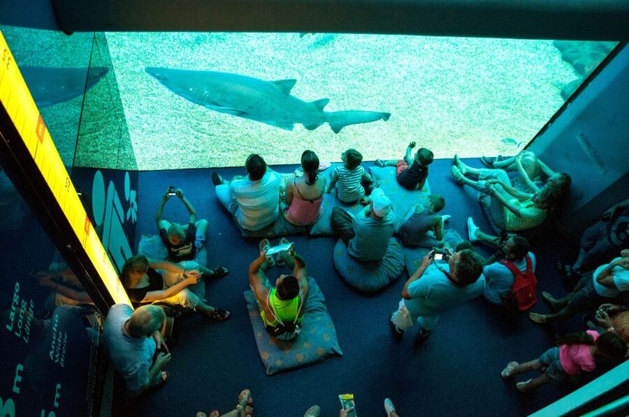 Mallorca: Palma Aquarium with Transfers, Guide & Fast Entry - Big Blue shark tank: Europe’s deepest showpiece