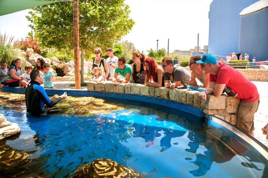 Mallorca: Palma Aquarium with Transfers, Guide & Fast Entry - How much time you’ll really need on site