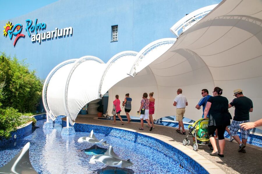 Mallorca: Palma Aquarium with Transfers, Guide & Fast Entry - Optional on-site activities: 3D cinema, AquaVision, and in-water encounters