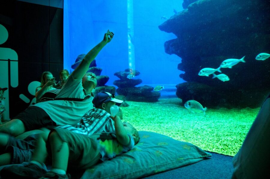 Mallorca: Palma Aquarium with Transfers, Guide & Fast Entry - Who this tour suits best (and who should adjust expectations)