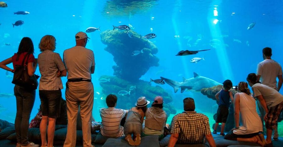 Mallorca: Palma Aquarium with Transfers, Guide & Fast Entry - Fast-track entry plus re-entry: your flexible aquarium plan