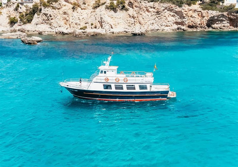 Mallorca: Palma Boat Tour & Snorkeling with Drink Included - Snorkeling Setup, Fish Chances, and Safety Basics