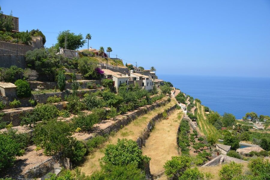 Mallorca: Premium Wine Experience, Tasting and Fine Foods - Quick highlights you’ll feel on the day