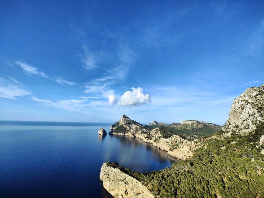 Mallorca: Premium Wine Experience, Tasting and Fine Foods - Touring a Sencelles winery where the pace stays human