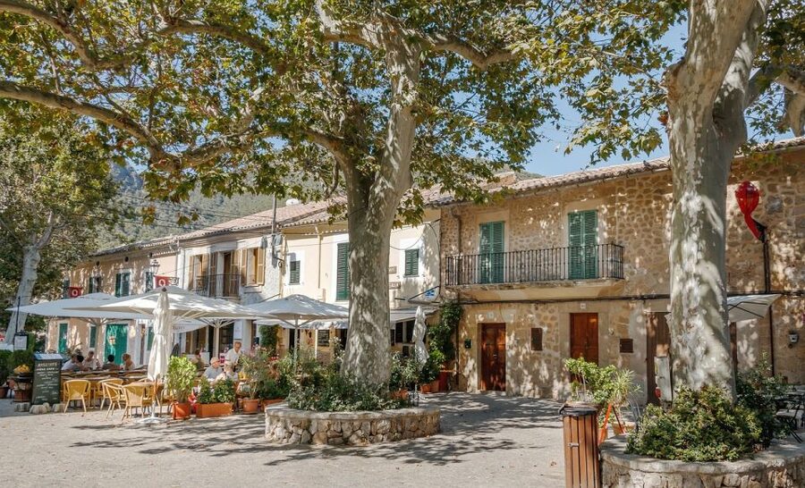 Mallorca: Premium Wine Experience, Tasting and Fine Foods - The 2–2.5 hour flow: from meeting point to barrel-cellar sip