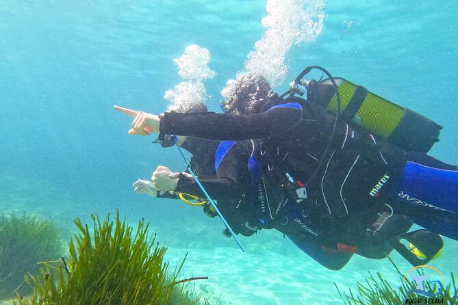 Mallorca PRIVATE Reservation<em>Scuba dive + photo/video – Key things I’d book this for’ /></p>
<ul>
<li><strong>Private 1-to-2 instruction</strong> with instructors Alex or Jose, built for first-timers</li>
<li><strong>Shore start and gradual depth</strong>, beginning around 1 meter so your breathing feels automatic</li>
<li><strong>GoPro Hero 10 photos and video included</strong>, captured by an assistant</li>
<li><strong>Underwater time around 45–50 minutes</strong> with a total session close to 2 hours</li>
<li><strong>You don’t need to be a swimmer</strong>, since support is always part of the plan</li>
</ul>
<h2 id="shore-start-scuba-training-in-palma-what-the-day-feels-like">Shore Start SCUBA Training in Palma: What the Day Feels Like</h2>
<p><img width="669" height="446" decoding="async" src=