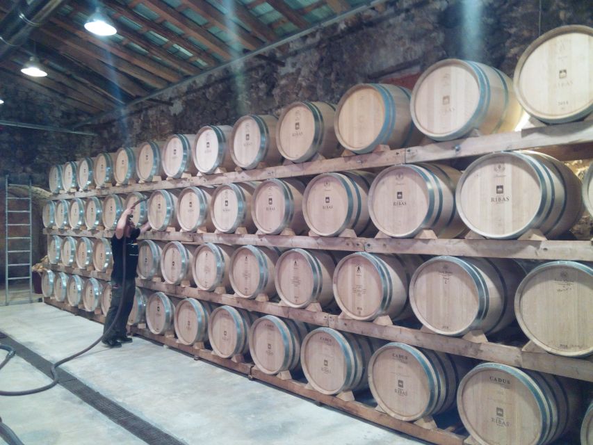 Mallorca: Private Wine Tour with Tasting and Picnic - Should you book it?