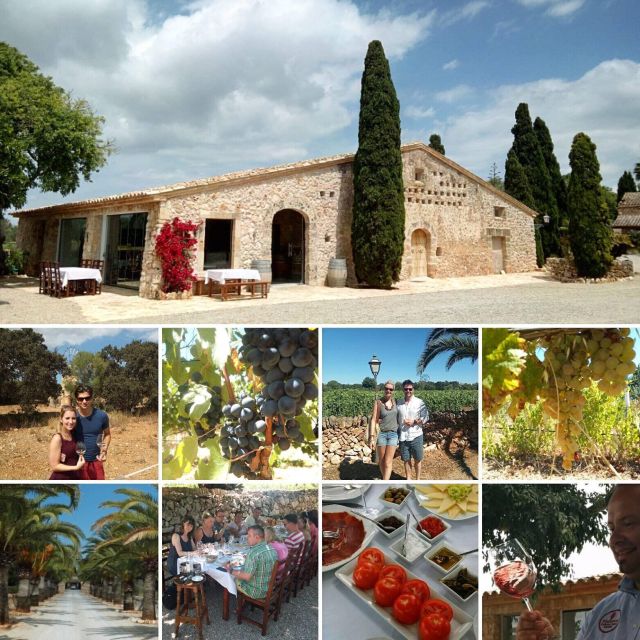 Mallorca: Private Wine Tour with Tasting and Picnic - Wine tasting and Mallorquin tapas: what the pairing really adds