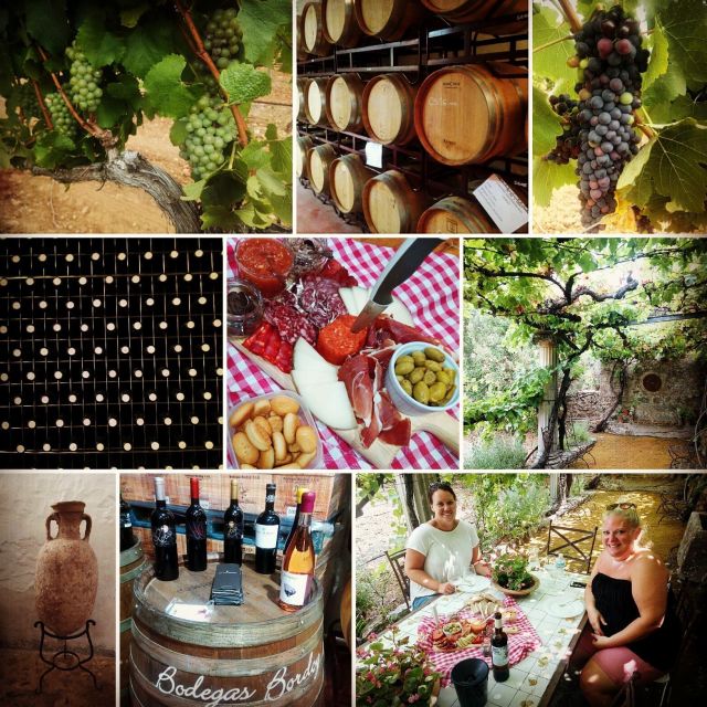 Mallorca: Private Wine Tour with Tasting and Picnic - Timing: how long it really feels (3 hours vs about 4 hours)