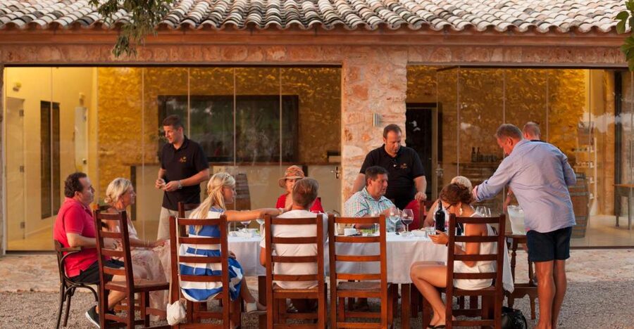 Mallorca: Private Wine Tour with Tasting and Picnic - Who this Mallorca wine tour suits best (and who should skip)