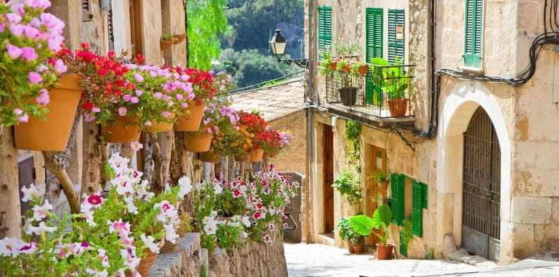 Mallorca: Puerto de Sóller and Valldemossa Morning Trip - What’s included, what isn’t, and how that affects your budget