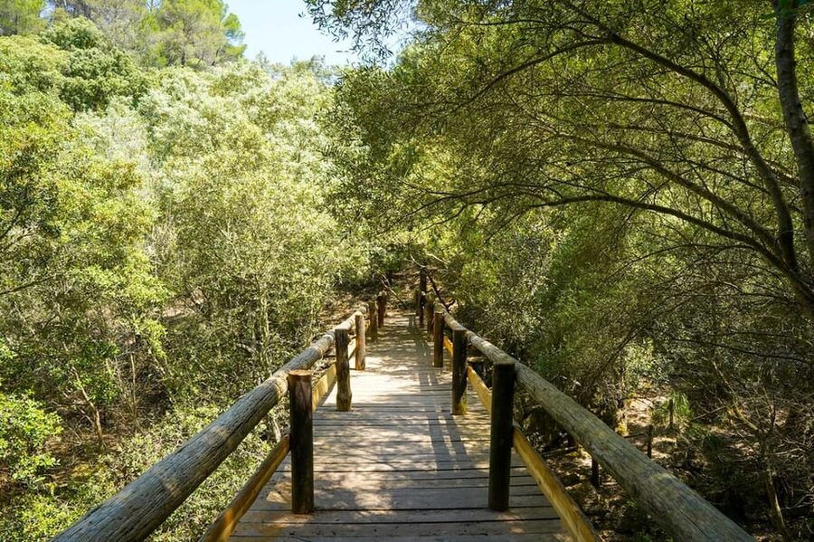 Mallorca : Reserva Park Entry ticket with Nature & animals - Key Highlights at Reserva Park Mallorca