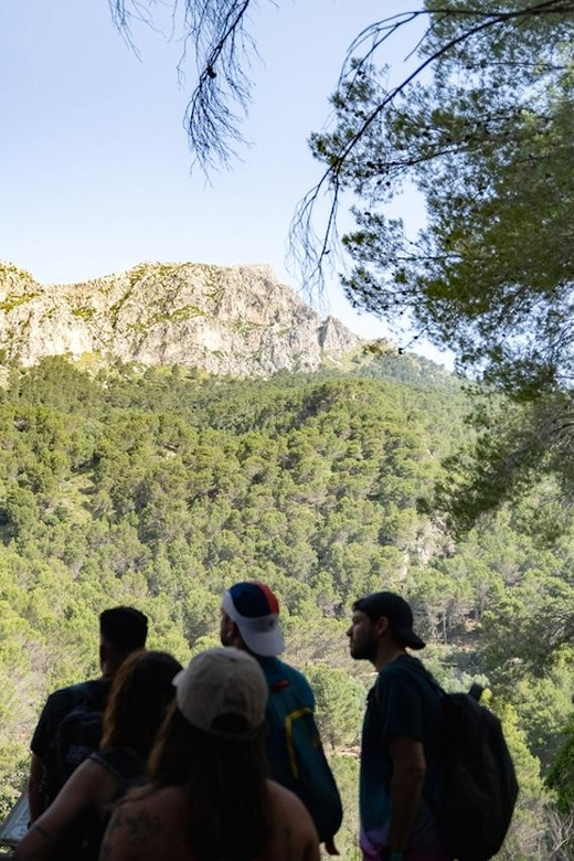 Mallorca : Reserva Park Entry ticket with Nature & animals - Raptor Sessions: Turning a Quick Look Into Real Learning