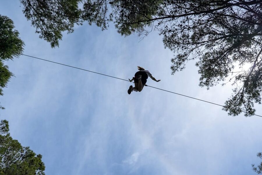 Mallorca : Reserva Park Entry ticket with Nature & animals - Food and Timing: How to Build Your Best 1-Day Plan