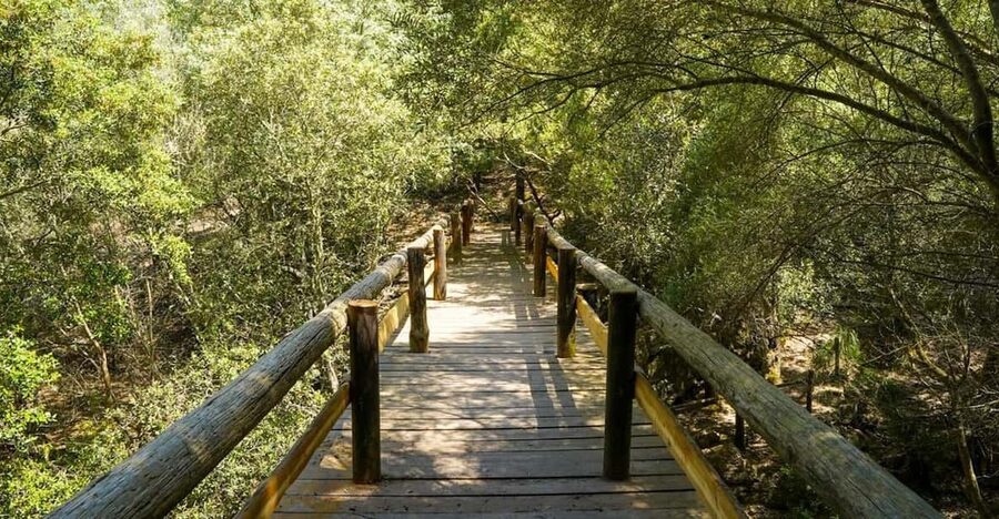 Mallorca : Reserva Park Entry ticket with Nature & animals - Price and Value: Is $20 Worth Your Time?