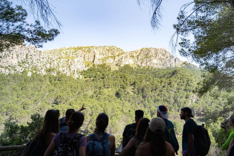 Mallorca : Reserva Park Entry ticket with Nature & animals - The Main 3.5 km Walk: Forest Trails, Caves, and Waterfalls