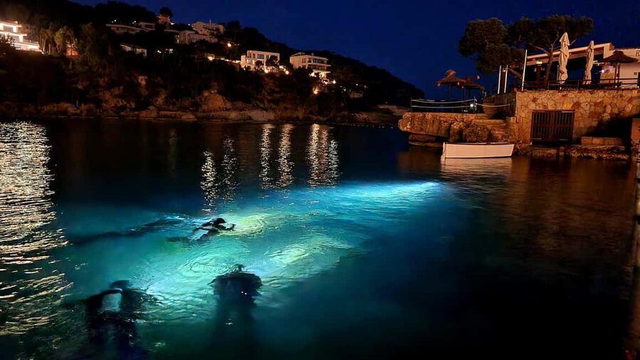 Mallorca: Scuba Diving for Beginners - Why Mallorca is a smart choice for your first scuba try-out