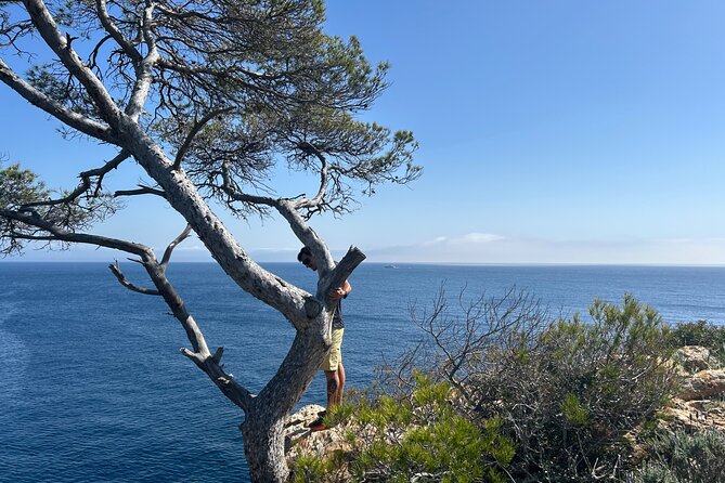 Mallorca Secret Coves Land Rover Private Tour - The ride reality: bumps, narrow seats, and tailbone math