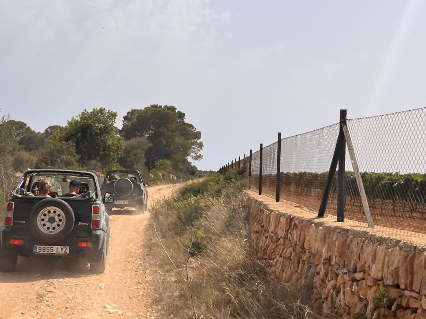 Mallorca: Self Drive 4x4 Jeepsafari Tour - Key things worth knowing before you go