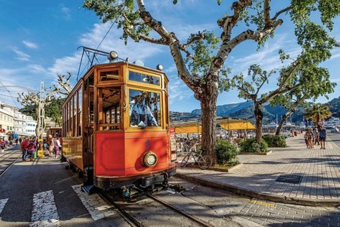 Mallorca Shore Excursion: Exclusive Soller and Valldemosa - Cruise pier pickup that keeps your day sane