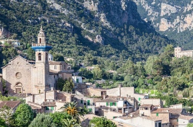 Mallorca Shore Excursion: Exclusive Soller and Valldemosa - Puerto de Sóller and the Soller Valley citrus moments