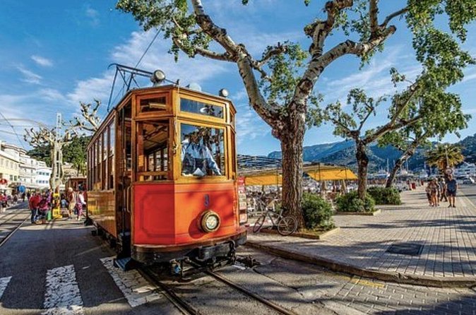 Mallorca Shore Excursion: Exclusive Soller and Valldemosa - Price of $211.12: does it feel like a deal for this route?