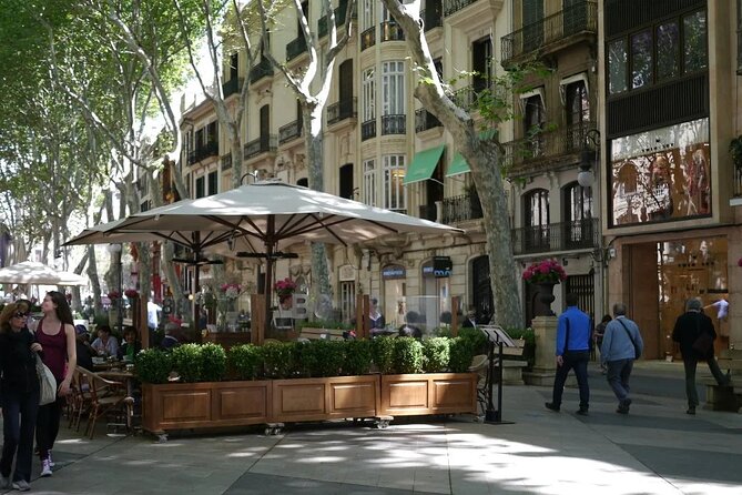 Mallorca Shore Excursion Highlights Private Tour including Valldemossa - What the guides do well (and what to watch for)