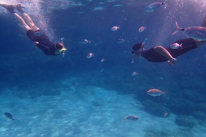 Mallorca: Snorkeling in a Beautiful Nature Reserve - Key things to know before you go