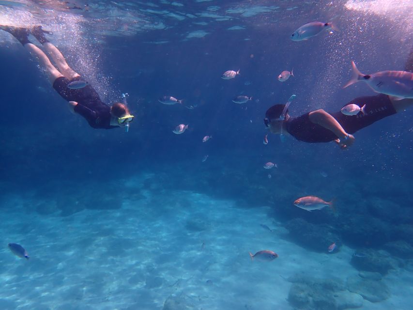 Mallorca: Snorkeling in a Beautiful Nature Reserve - Meeting Points in Mallorca: Playa de Palma on Foot vs Cabo Regana by Car