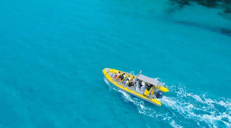 Mallorca: Snorkeling in the Natural Park by Boat - The one swim and snorkeling stop: what to expect underwater