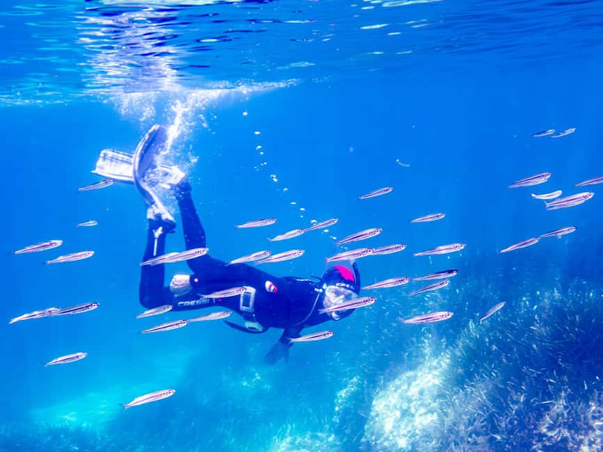 Mallorca: Snorkeling tour with diving instructor from a boat - Cap de Formentor - The Speedboat Leg: 15 Minutes of Coastline Therapy