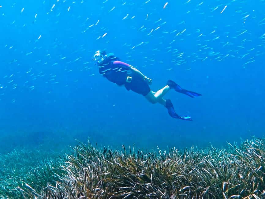 Mallorca: Snorkeling tour with diving instructor from a boat - Cap de Formentor - Price and Value: Is $65 Worth It Here?